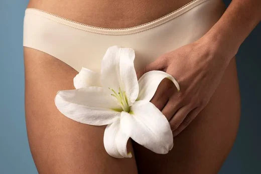 Ressecamento vaginal e sua relação com a menopausa