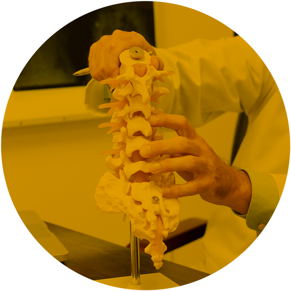 Imagem do ingrediente